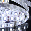 Factory direct single color brightness SMD5050 60led/m dimmable led rope light